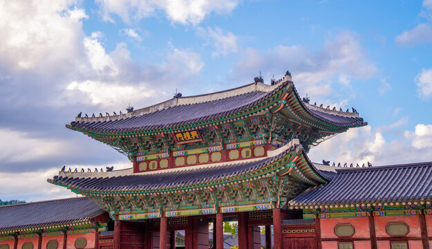 tourist attractions in the city park of seoul City,
 Asia business concept image,panoramic modern cityscape building in korea. 