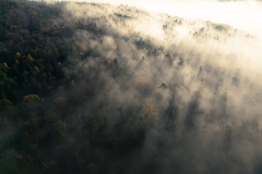 Aerial view of Schonbuch forest with thick morning mist and sunbeams filtering through the autumn trees in Bebenhausen, Baden-Wurttemberg, Germany.