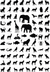 Obraz premium Black Animal Silhouettes on White Background