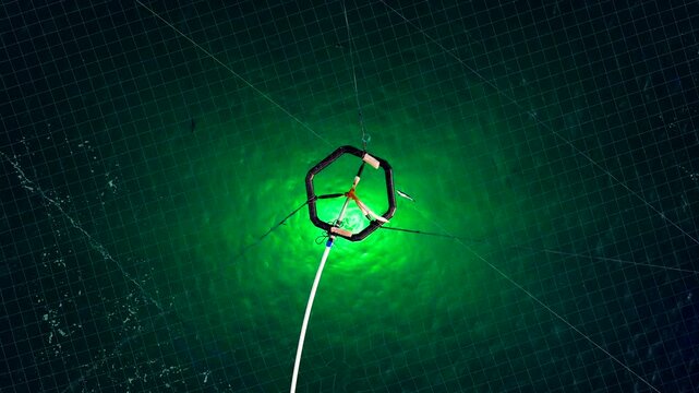 Top down night aerial over jumping salmon in aquafarm pen with illuminated water
