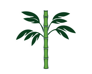 Naklejka premium Bamboo plant with wide leaves on transparent background