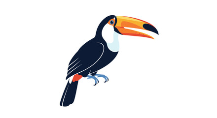 Fototapeta premium Colorful tropical toucan bird with a prominent yellow and black beak perched against a clean white background.
