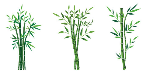 Naklejka premium Set of isolated bamboo plant stalks with green leaves collection