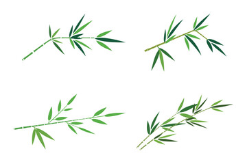 Fototapeta premium Set of bamboo branches with green leaves vector illustration isolated on transparent background