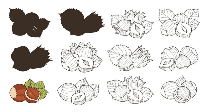 Set of hazelnut illustrations in various styles like silhouettes, line art, and colored versions, ideal for botanical food graphics.