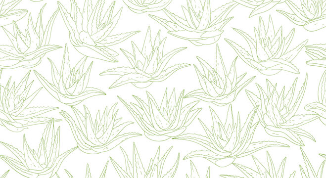 Seamless pattern of light green aloe vera plant outlines repeated across a clean white background for textiles and cosmetic packaging.