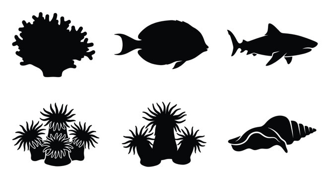 Silhouettes of coral, fish, shark, anemone, seashell for marine projects