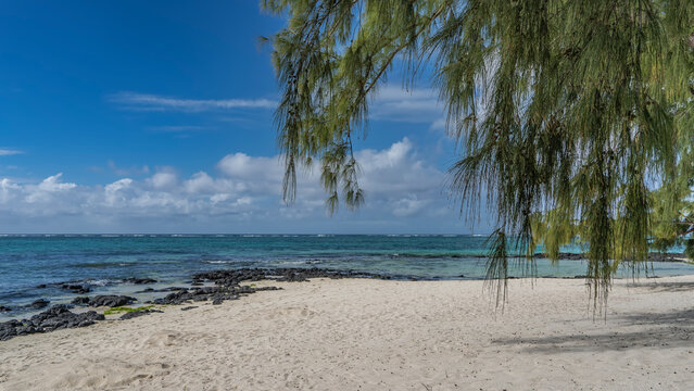 A beautiful tropical beach without people. The branches of the casuarina bent over the white sand. Piles of black boulders by the turquoise ocean. Blue sky, clouds. Mauritius. Belle Mare
 