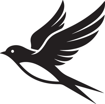 Black swallow bird flying