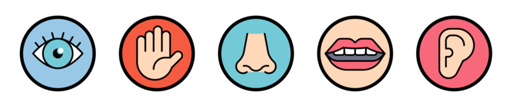 Conjunto de iconos de sentidos humanos. Vista, tacto, olfato, gusto, audici&oacute;n, percepci&oacute;n sensorial, experiencia corporal, interacci&oacute;n del entorno. Ilustraci&oacute;n vectorial