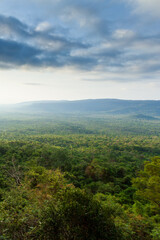 Fototapeta premium A view of the tropical forest in Ta Phraya National Park at sunrise.