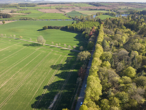 Aerial view of the famous Meikleour Beech Hedge bordering a road alongside lush green fields and dense woodland in Meikleour, Scotland, United Kingdom.