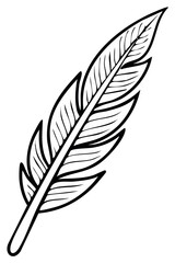 Fototapeta premium Black and White Stylized Quill Feather Drawing