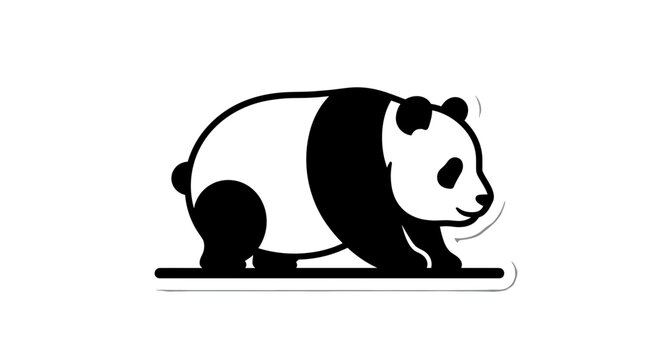 Black and white panda bear.
