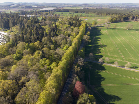 Aerial view of the Meikleour Beech Hedge bordering a rural road and green agricultural fields under a clear sky in Meikleour, Scotland, United Kingdom.