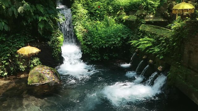 Traditional Sacred Pool and Holy Springs at Balinese Water Temple surrounded by tropical plants