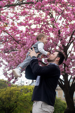 Father lifting baby under pink cherry blossoms in spring Copy Space