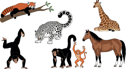 Wild animals collection including monkey giraffe horse leopard and red panda in cartoon style isolated vector illustration set © Rumi