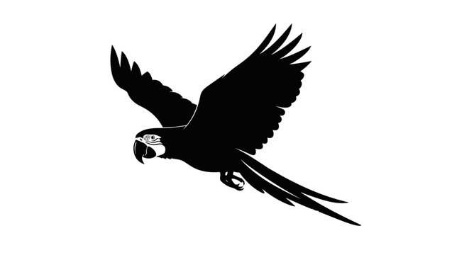 Black Silhouette Parrot Flying.