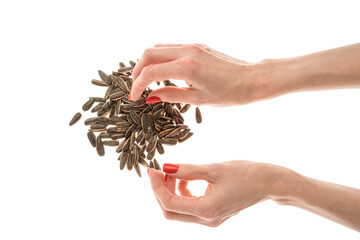 Naklejka premium Female hand sunflower seeds on a white background isolation