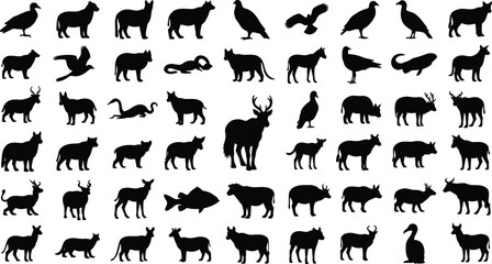 Fototapeta premium Black Animal Silhouettes on White Background