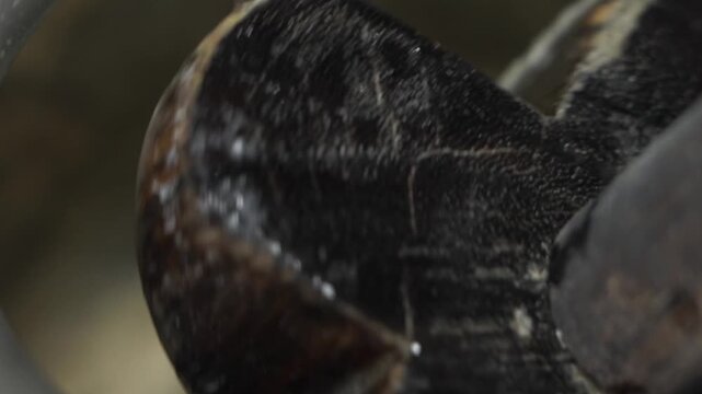 Extreme close up shot of making lassi from curd in vessel. Indian food preparation and dairy mixing process.