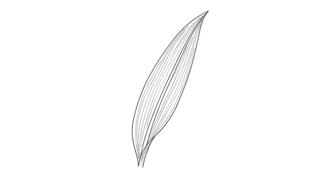 Single feather in air.