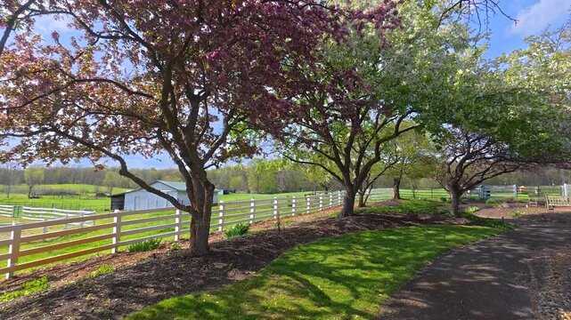 Beautiful flowering trees blooming in a springtime garden in Michigan
