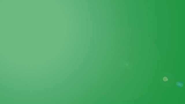 Paparazzi camera flashes, blinking flashlights animation on black background. Flashing lens flares, at the stadium concert multiple camera flashes on green skin background.
