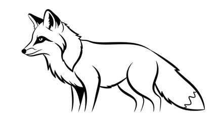 Fototapeta premium fox in a white background