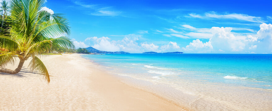 Sea sandy beach landscape, paradise tropical island panorama, green coconut palm tree leaves, beautiful exotic nature, turquoise ocean, crystal clear water, blue sunny sky, hot summer holidays, travel