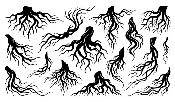 Tree root silhouette collection vector with decorative organic root shapes set