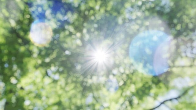 夏の太陽の暑く強い日差し　木々の葉から差し込むさわやかな木漏れ日の光とキラキラの輝く明るい丸ボケと光芒　アウトドア・夏休み・日焼け・バカンス・旅行・洗濯のイメージ背景　