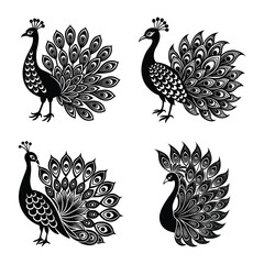 Fototapeta premium Peacock Feather Silhouette Set, Decorative Bird Vector Collection