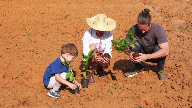 A family plants young tree seedlings in a dry field, working together to restore the land and promote sustainability.