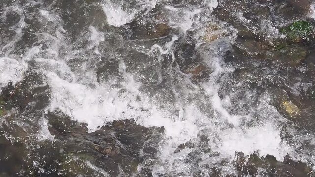 川の白波と透明感ある水面の自然風景