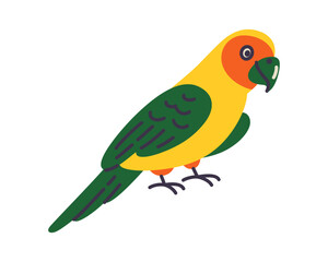 Obraz premium Cute bright sun conure parrot, flat cartoon exotic pet bird illustration. Vibrant orange and yellow plumage, cheerful tropical bird companion vector design, isolated colored clipart