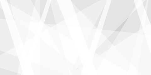 Fototapeta premium Abstract white and gray background with texture pattern, layered geometric triangle shapes and geometric background with overlapping transparent polygon shapes in light gray and white tones .