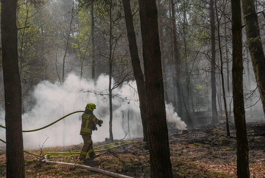 Drought in the forest, fireman extinguishing the burning forest with a hose