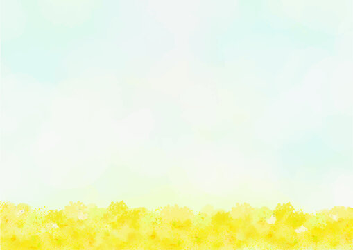 水彩背景　菜の花畑にあそぶ紋白蝶