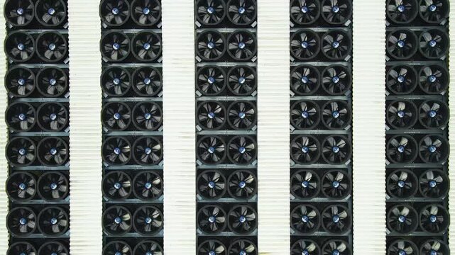 Top down aerial view of rows of graphics cards with fans spinning, illustrating a cryptocurrency mining rig or a large data center server farm used for blockchain and AI computations