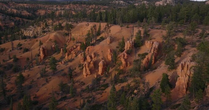 Sandstone hoodoo formations scattered across pine forest plateau in Dixie National Forest Utah, drone descend