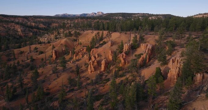 Pointed sandstone hoodoos rise among pine trees in Dixie National Forest Utah plateau landscape, drone ascend