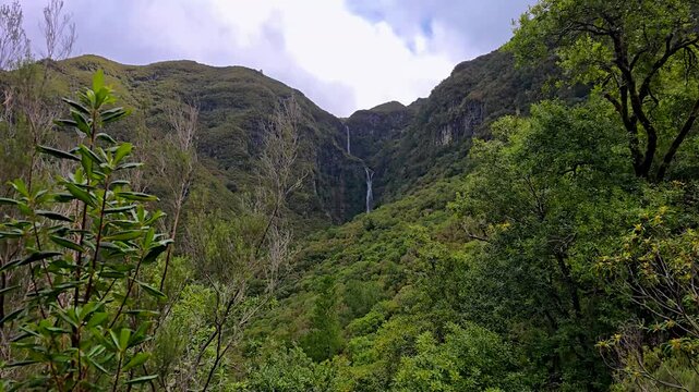 Risco Waterfall In Madeira Flowing Down Steep Green Cliffs With Lush Laurisilva Forest, Fresh Mountain Water, And Dramatic Vertical Cascade Creating Scenic And Atmospheric Nature Travel Footage