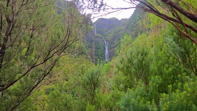 Risco Waterfall In Madeira Flowing Down Steep Green Cliffs With Lush Laurisilva Forest, Fresh Mountain Water, And Dramatic Vertical Cascade Creating Scenic And Atmospheric Nature Travel Footage