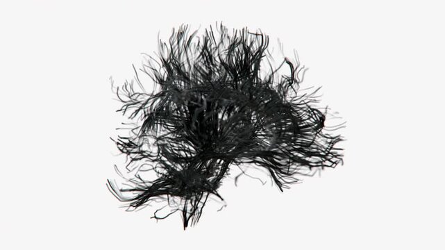 Brain Fibers formation video | Brain Fibers Creative visualization | Black Visuals