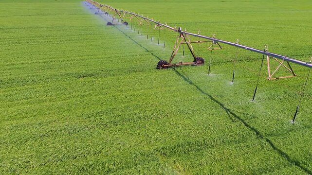 Aerial close view of center pivot irrigation system watering green field in Castilla La Mancha, rotating sprinklers and sustainable agriculture concept