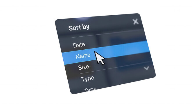 A digital computer interface menu showing a sort by list with date, name, size, and type options highlighted with a mouse cursor arrow