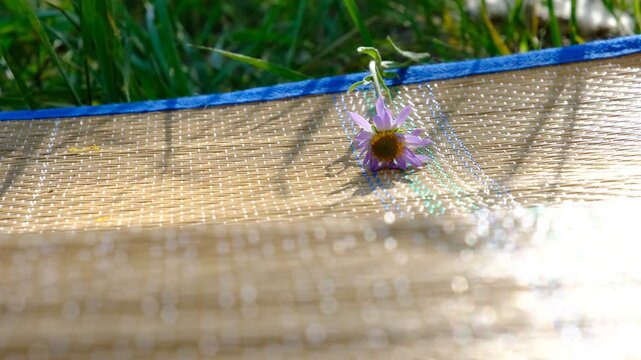 Summer, lush green lawn, bright sun, light breeze . A meadow flower lies delicately on a bamboo mat spread over a soft rug. Relaxing in the shade, enjoying nature and the gentle rustle of leaves