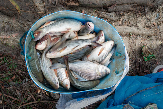 Fishing